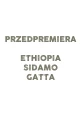 Kawa Ethiopia Sidamo Gatta